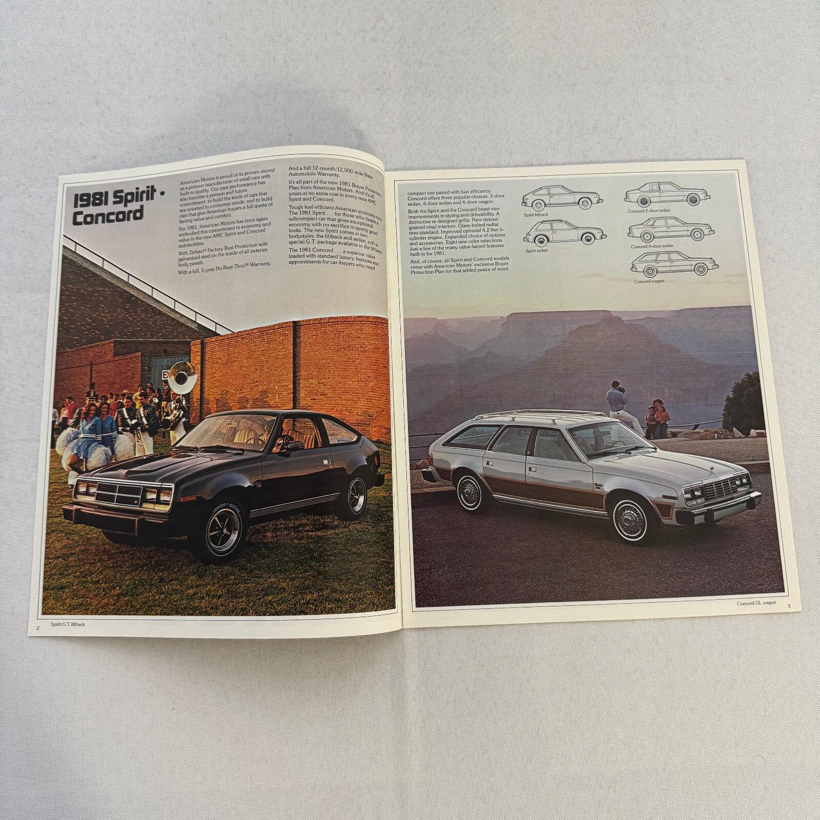 1981 AMC American Motors Spirit Concord Sales Brochure Catalog Advertising