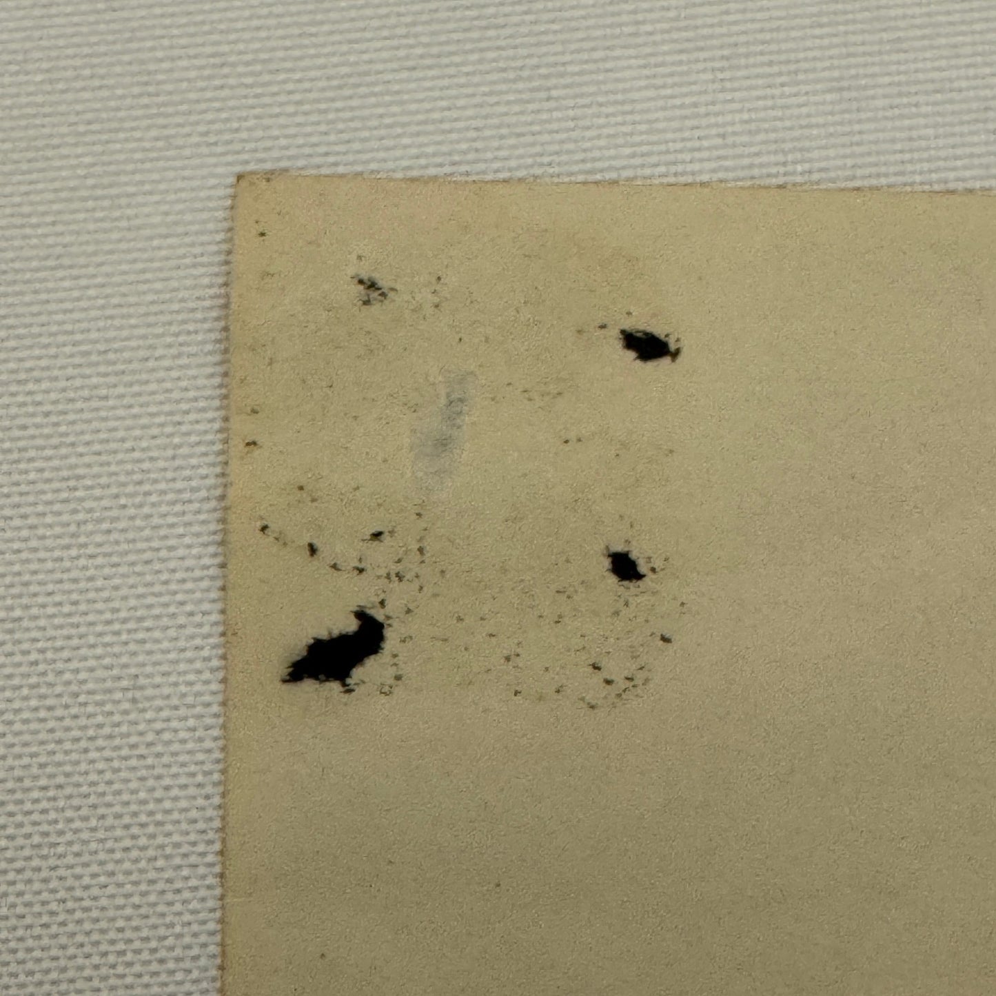 Vintage Automobile Photo Photograph Print Snapshot Antique Car Child Girl