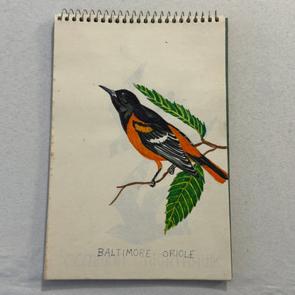 Vintage Bird Art Illustration Sketchbook Baltimore Oriole Grosbeak Nighthawk