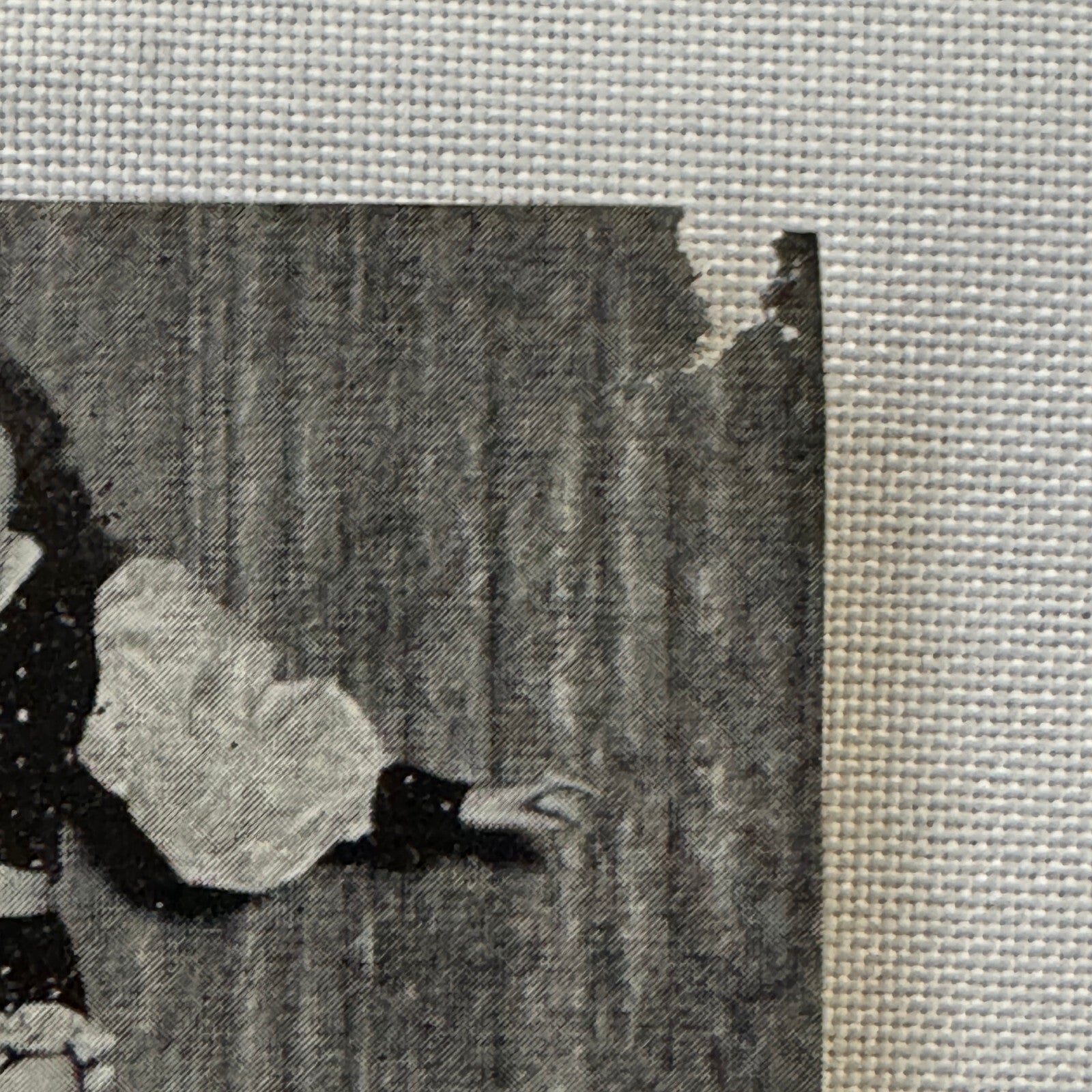 Circus Advertising Flyer Balancing Act 3 Rollings Vintage