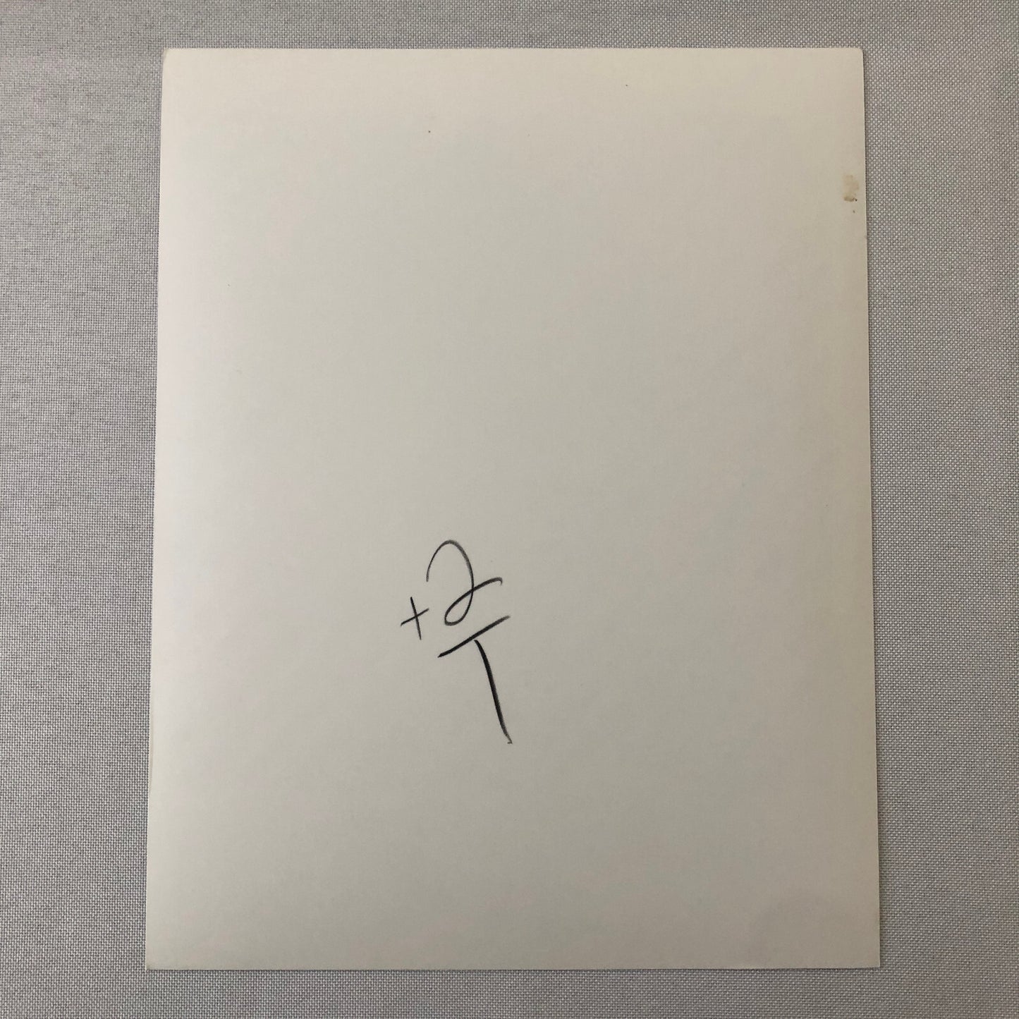 Dolores Hart Vintage Actress Photo Photograph Print Modern Print