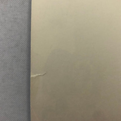 Steve McQueen Dustin Hoffman Papillon Movie Film CBS Television Photo Photograph