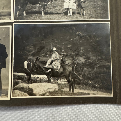 Vintage Photo Album Pages Car Automobile People Horse Cow Animals European