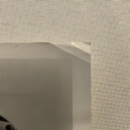 Vintage Movie Film Photo Photograph Anne of Windy Poplars Anne Shirley