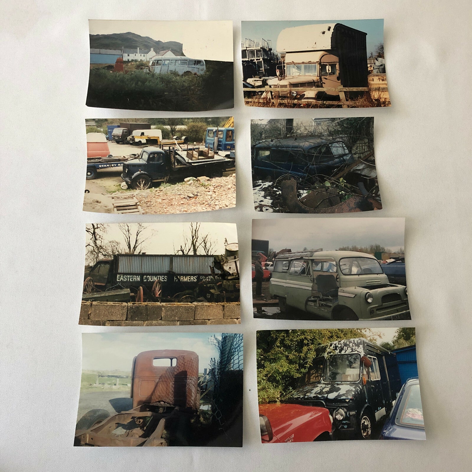 Vintage Bedford Truck Barn Find Junk Yard Parts Photo Photograph Print Lot 43x