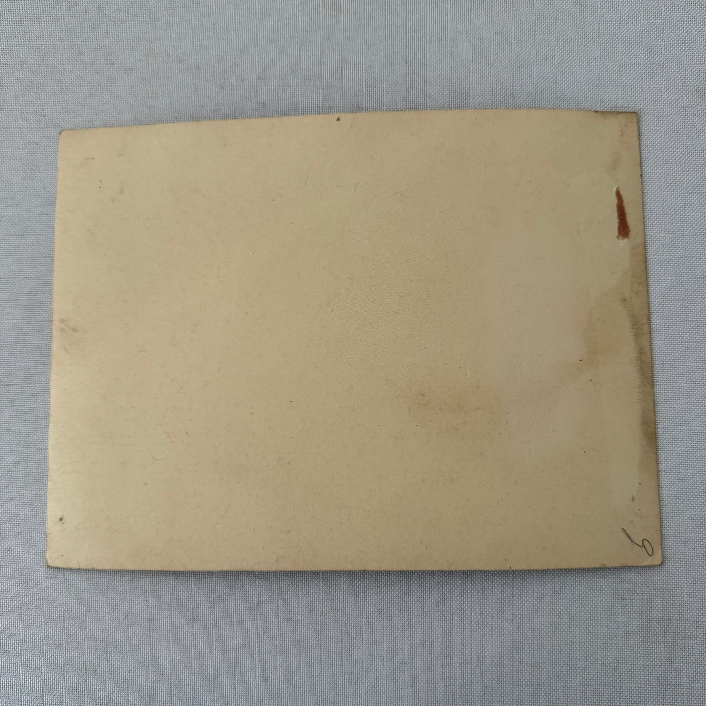 Vintage Circus Juggling Acrobat Act Nonna Bedini Tafani Photo Photograph