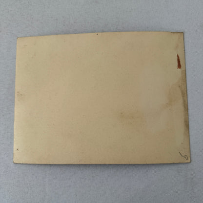 Vintage Circus Juggling Acrobat Act Nonna Bedini Tafani Photo Photograph