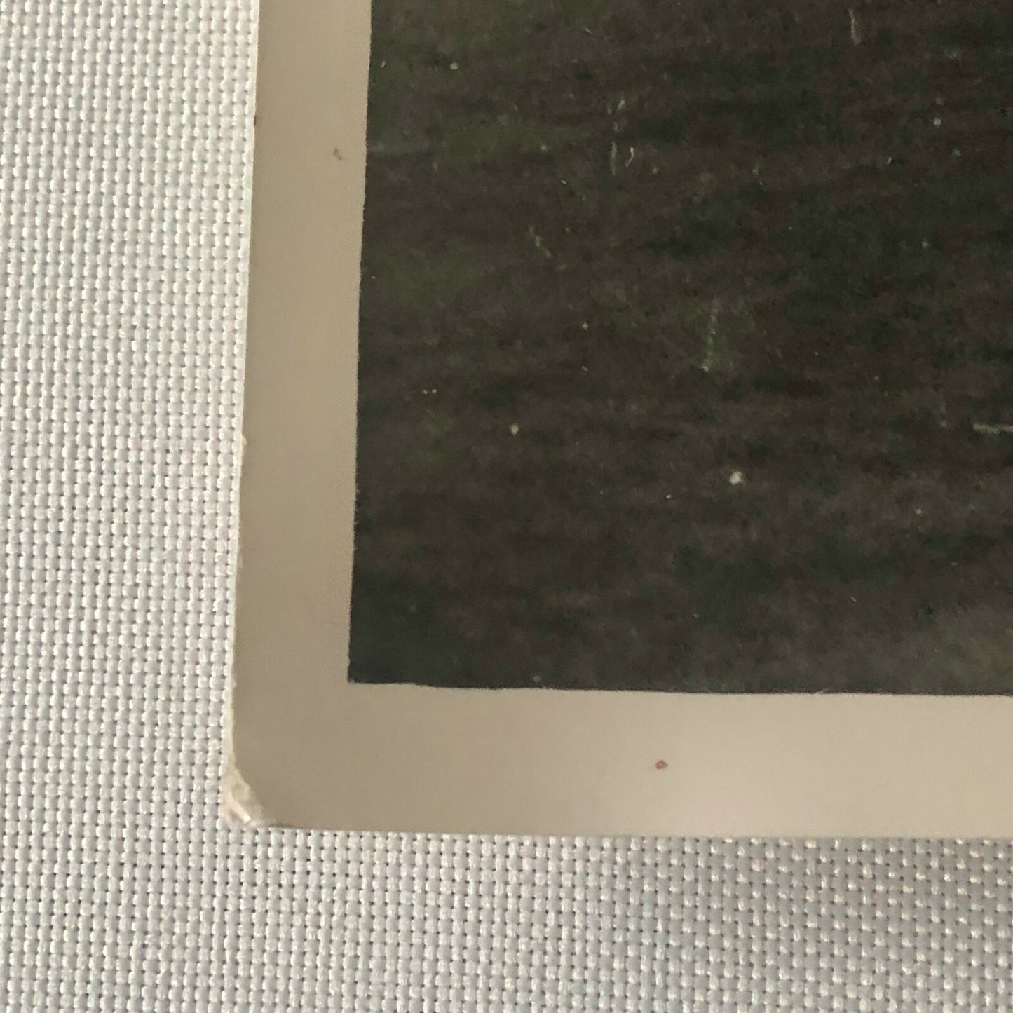 Vintage 1959 Racing Photo Photograph Driver Stirling Moss Jack Brabham Oulton