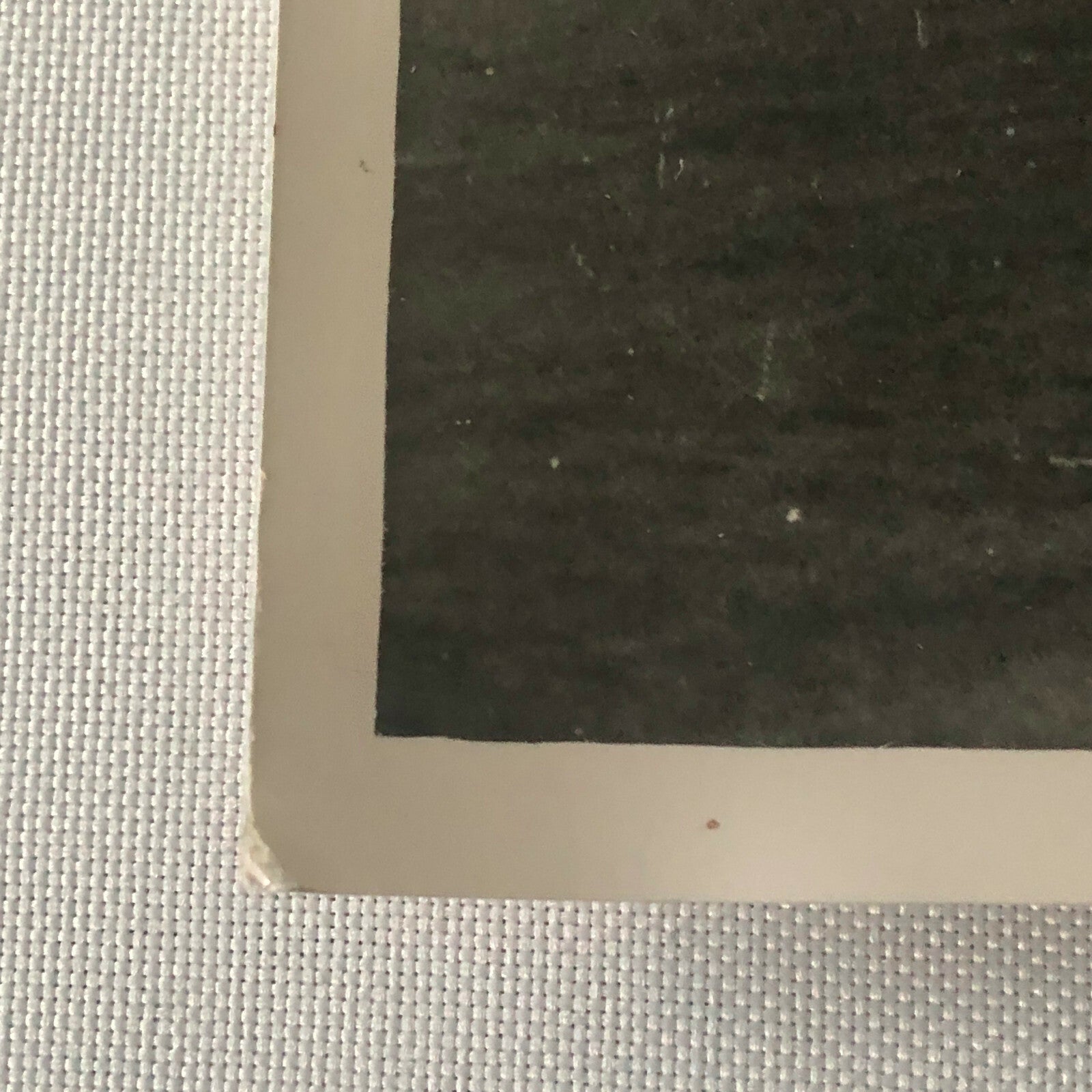 Vintage 1959 Racing Photo Photograph Driver Stirling Moss Jack Brabham Oulton