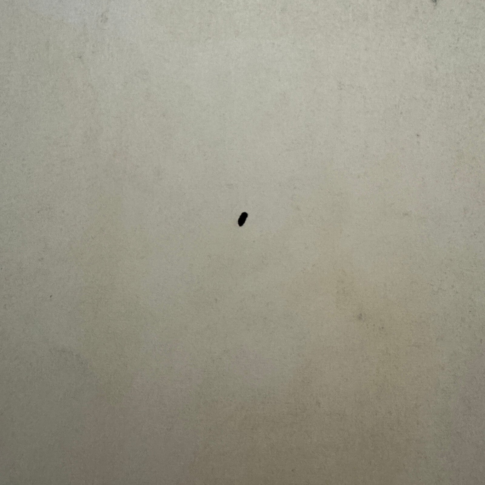 Vintage Horror Movie Lobby Card Poster 1958 The Curse of the Faceless Man