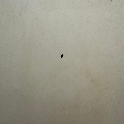 Vintage Horror Movie Lobby Card Poster 1958 The Curse of the Faceless Man