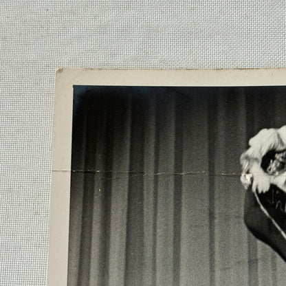 Vintage Circus Acrobat Tumbling Performer Act Photo Photograph Berlin 1953