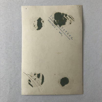 Circus Performer Acrobat Act in Costume Dance Vintage Photo Photograph