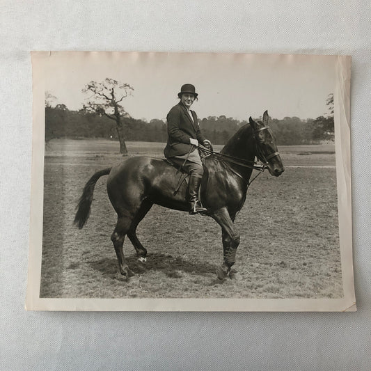Vintage Press Photo Photograph Horse Horseback Rider Pixie the Horse Acquitted