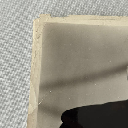 Vintage Movie Still Photo Photograph Print Fred MacMurray Actress Beautiful