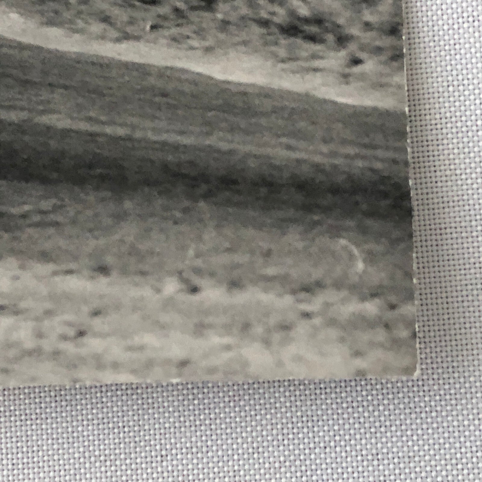 Vintage Renault Alpine Racing Car Photo Photograph Print 