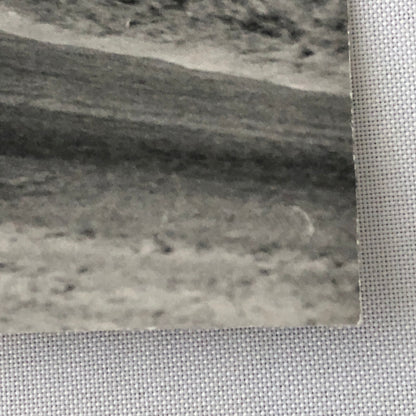 Vintage Renault Alpine Racing Car Photo Photograph Print 