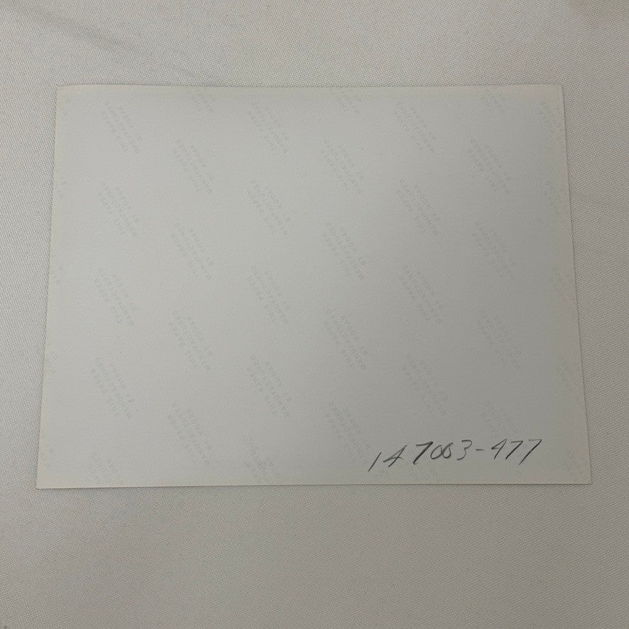 Vintage Ford Thunderbird Car Automobile Photo Photograph Modern Print