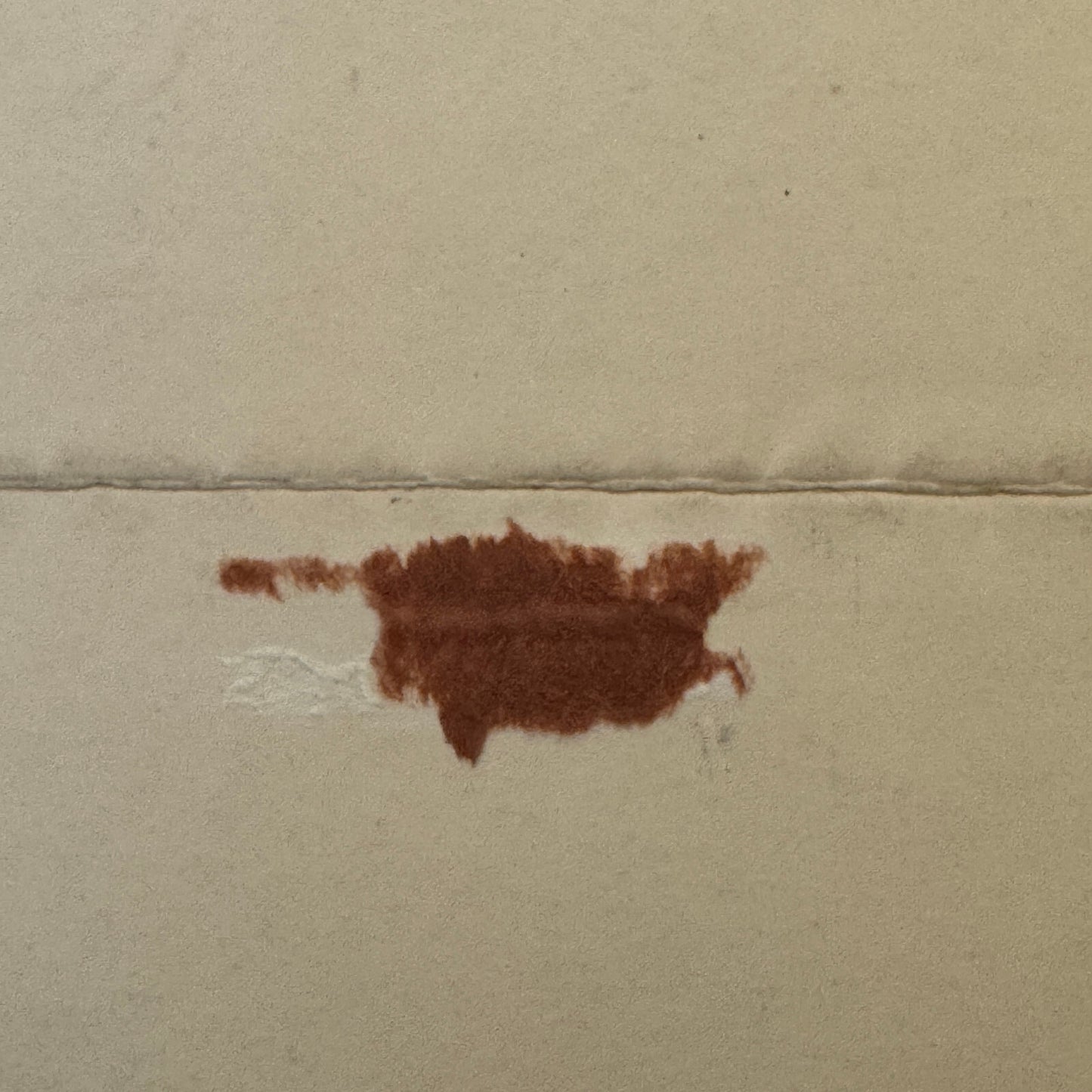 Circus Juggling Balancing Act Vintage Photo Photograph Print Bertl Pascal