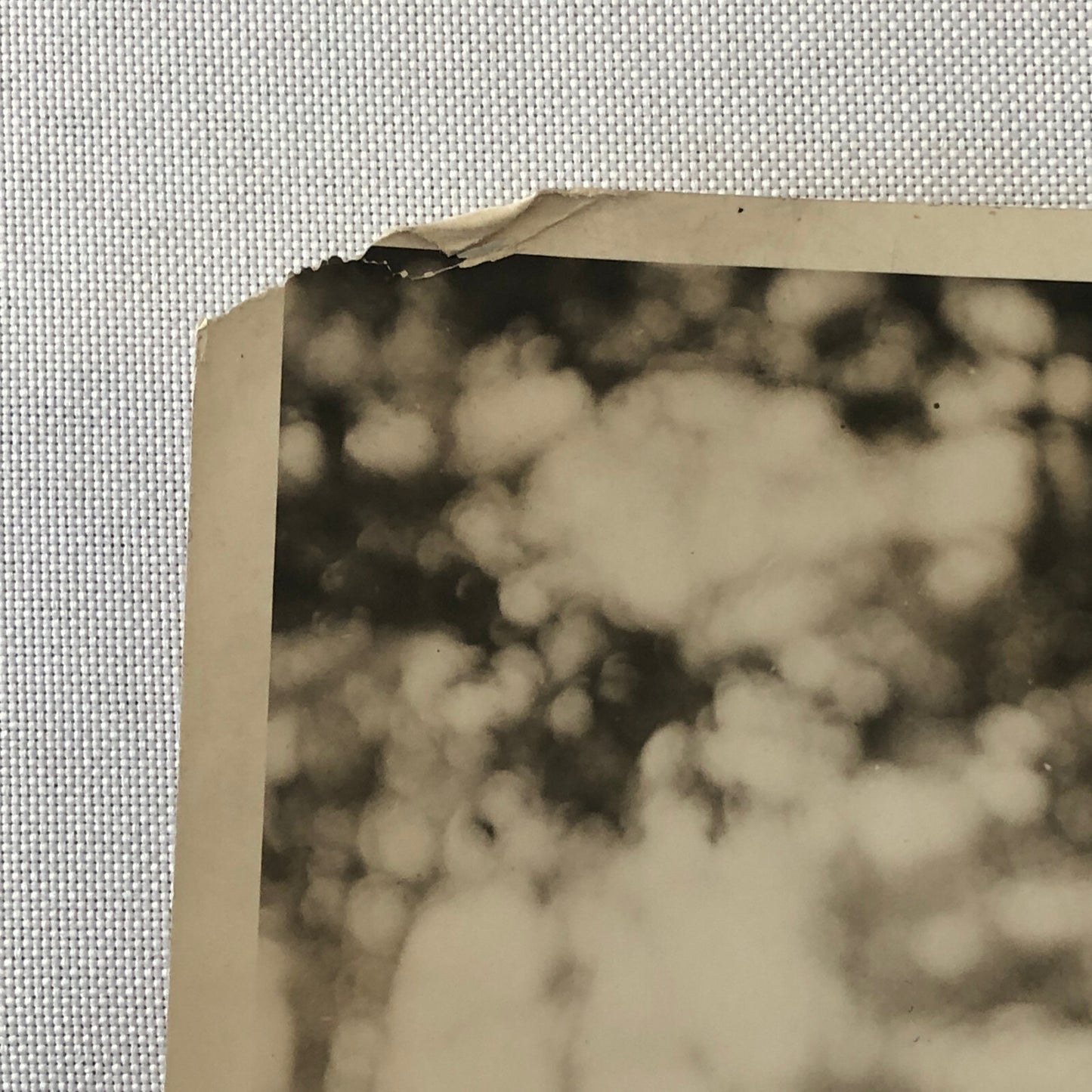 Press Photo Photograph Philadelphia Woman Attends Augusta Georgia Party 1920s