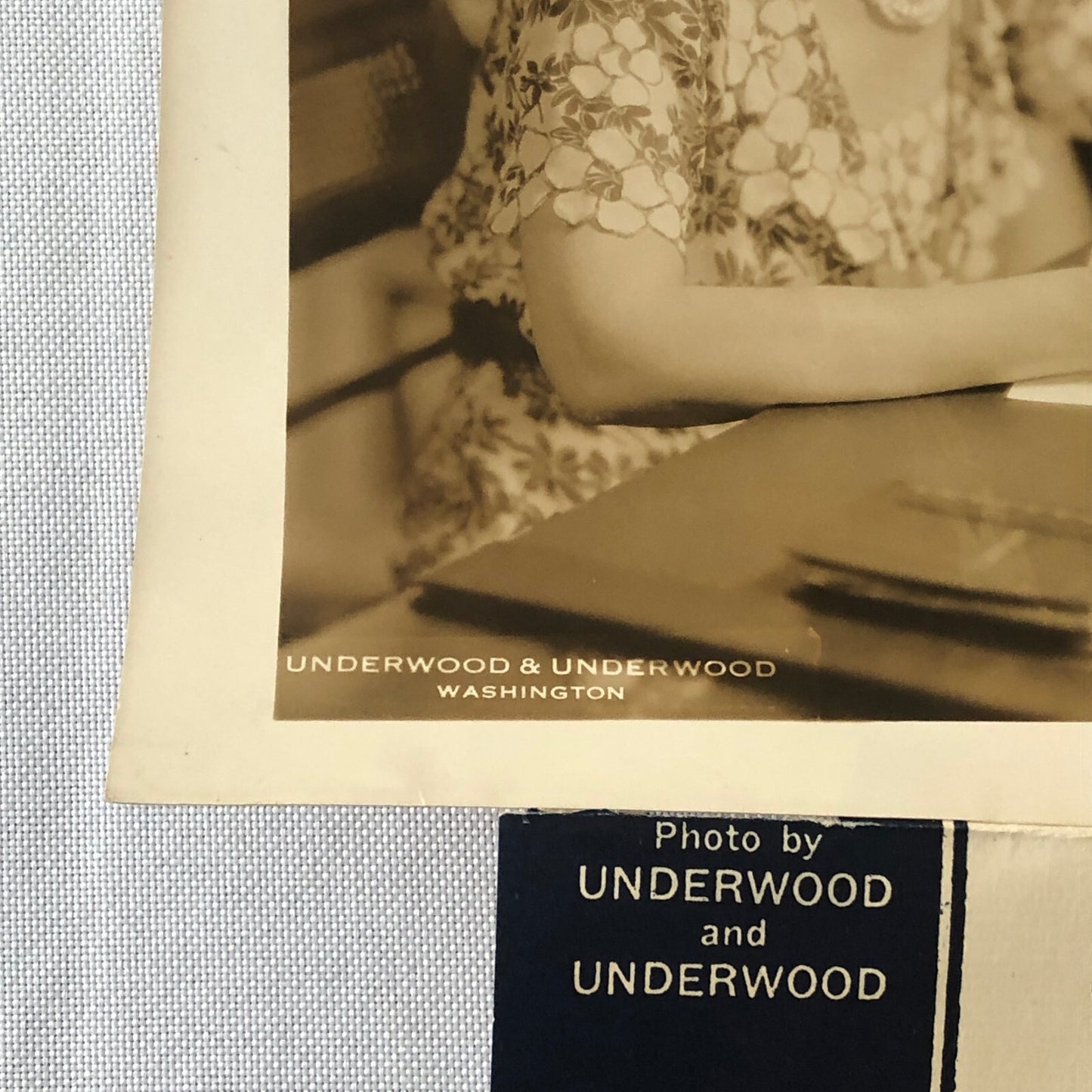 Press Photo Photograph 1933 Federation of Womens Clubs President Singers Ban
