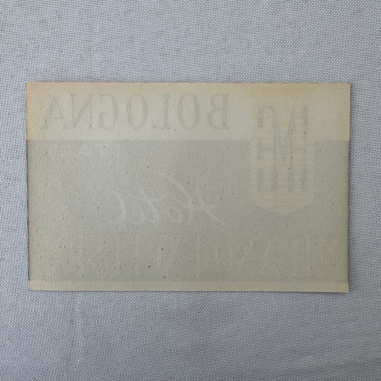 Vintage Hotel Travel Luggage Label Hotel Milano Excelsior Bologna Italy Italian