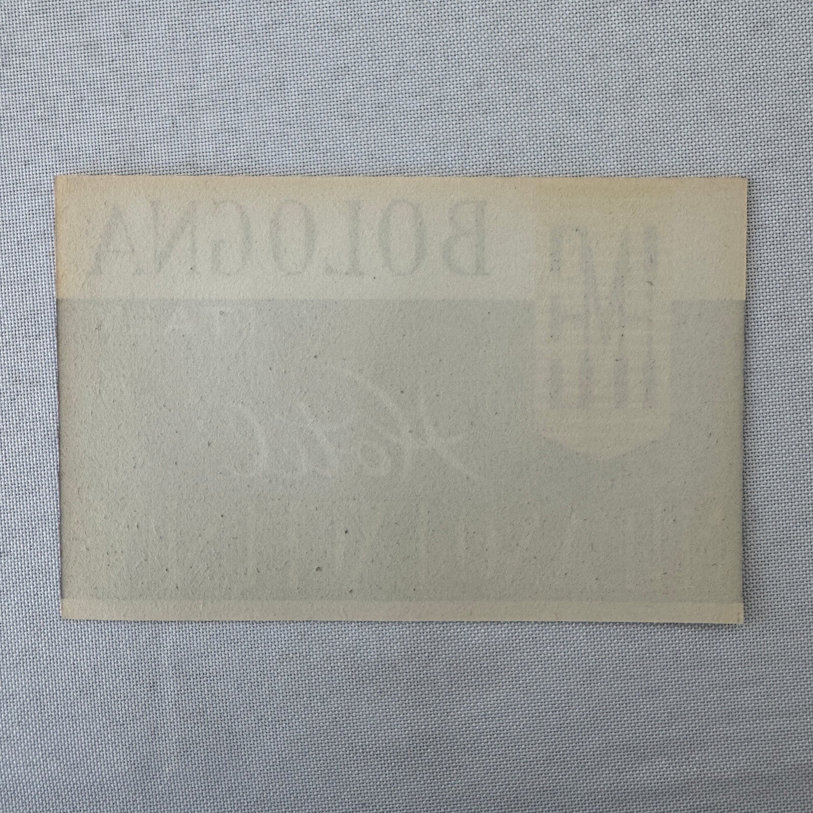 Vintage Hotel Travel Luggage Label Hotel Milano Excelsior Bologna Italy Italian