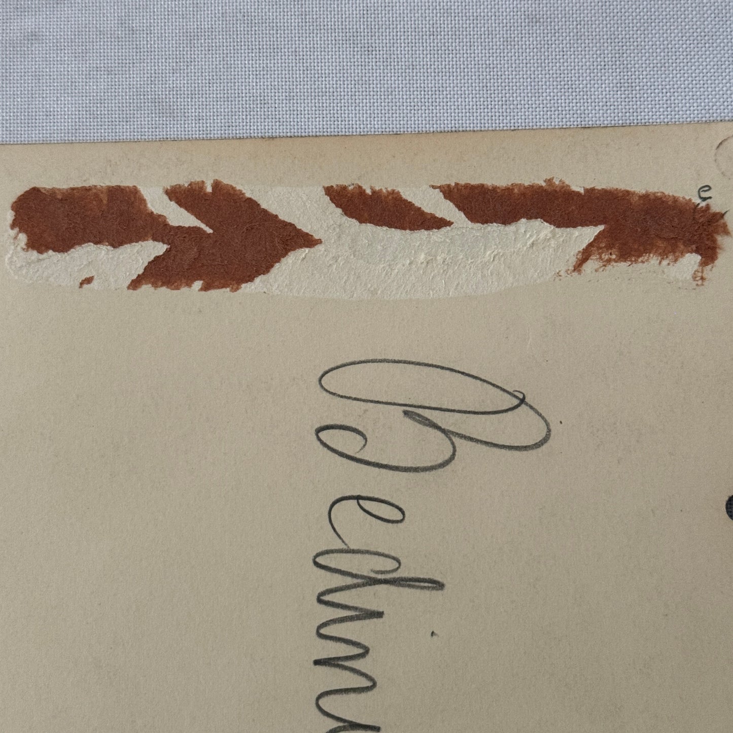 Vintage Circus Juggling Acrobat Act Bedini Tafani Photo Photograph