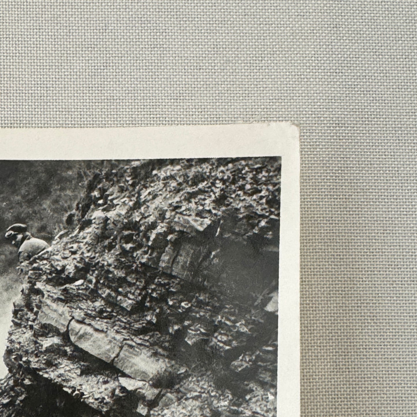 1922 Targa Florio Graf Masetti Mercedes Benz Racing Car Photo Photograph