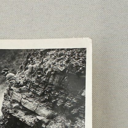 1922 Targa Florio Graf Masetti Mercedes Benz Racing Car Photo Photograph