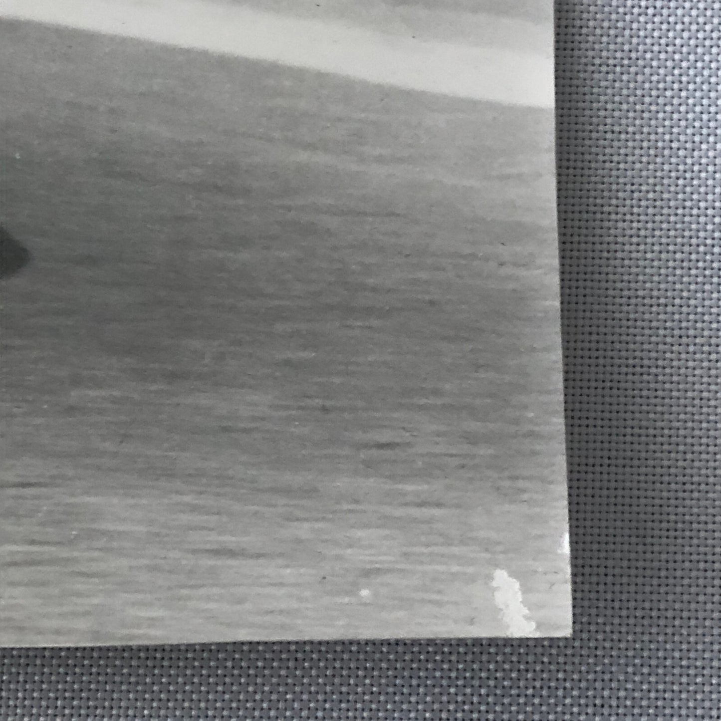 Vintage Motorcycle Racing Photo photograph BMW Sidecar Side Car Bike