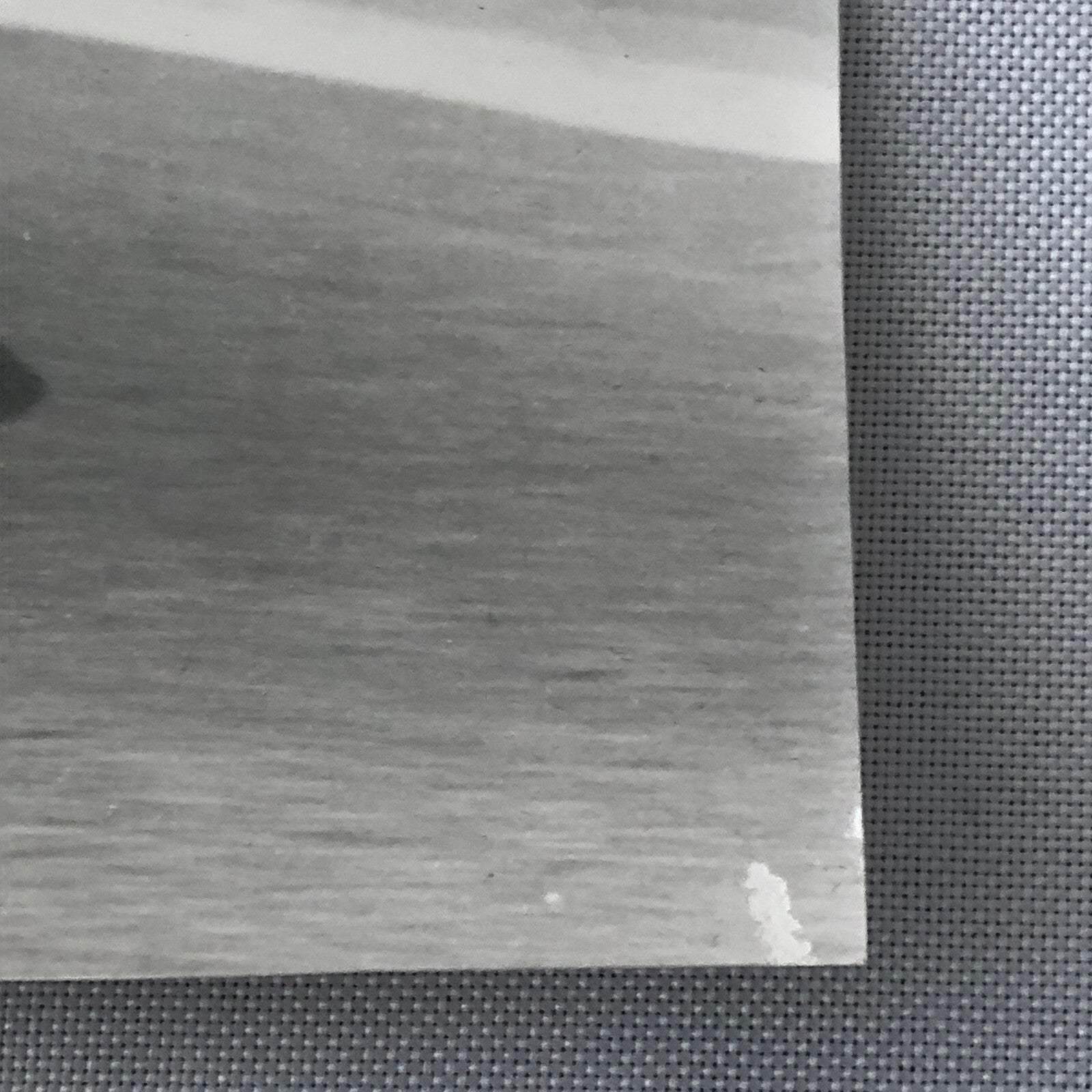 Vintage Motorcycle Racing Photo photograph BMW Sidecar Side Car Bike