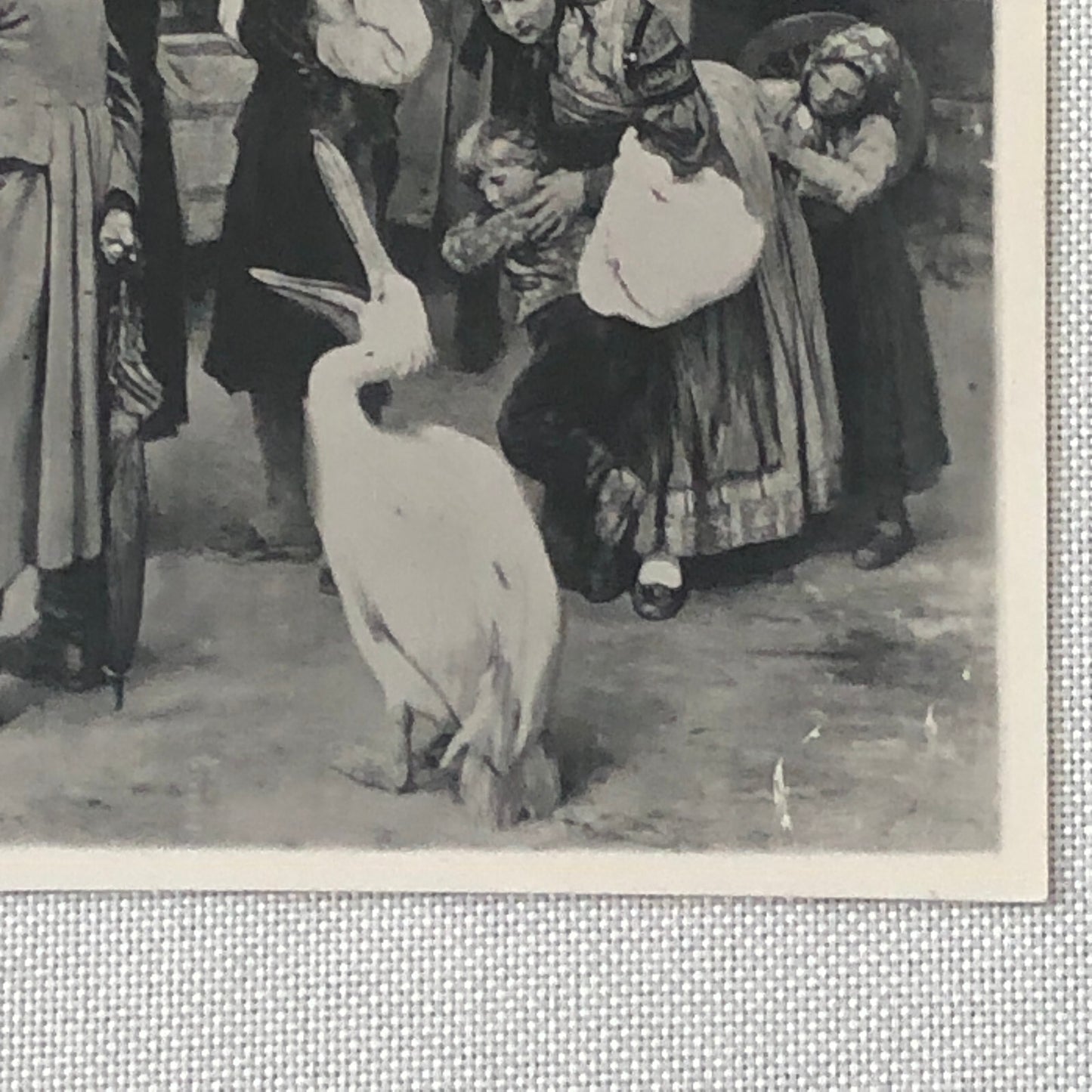 Circus Painting Vintage Photo Photograph Snake Camel Birds Animal Act