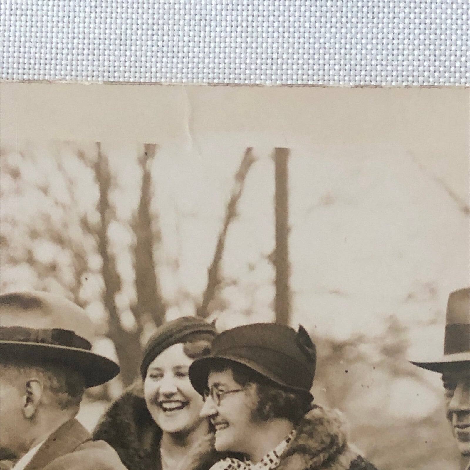 Vintage Press Photo Photograph War Horse Retirement Mayor Southgate London 1934