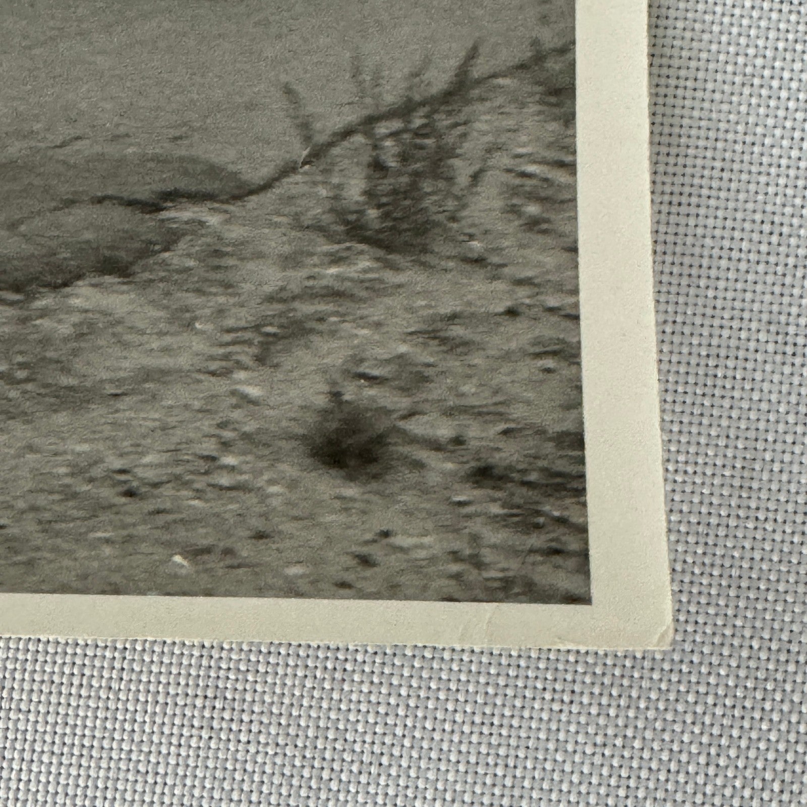 Vintage Car Racing Photo Circuit Mont Tremblant Quebec Photograph