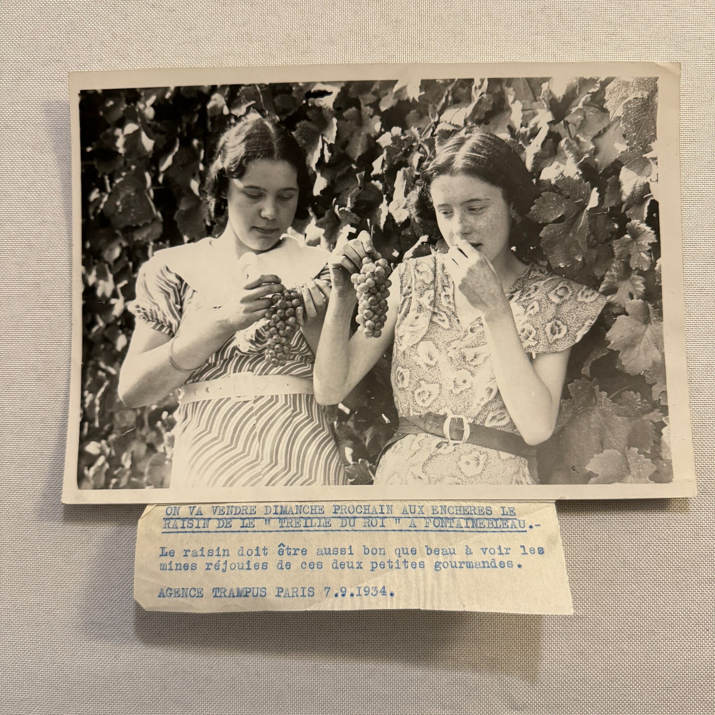 Paris Young Women with Grapes Kings Auction 1934 Press Photo Agence Trampus