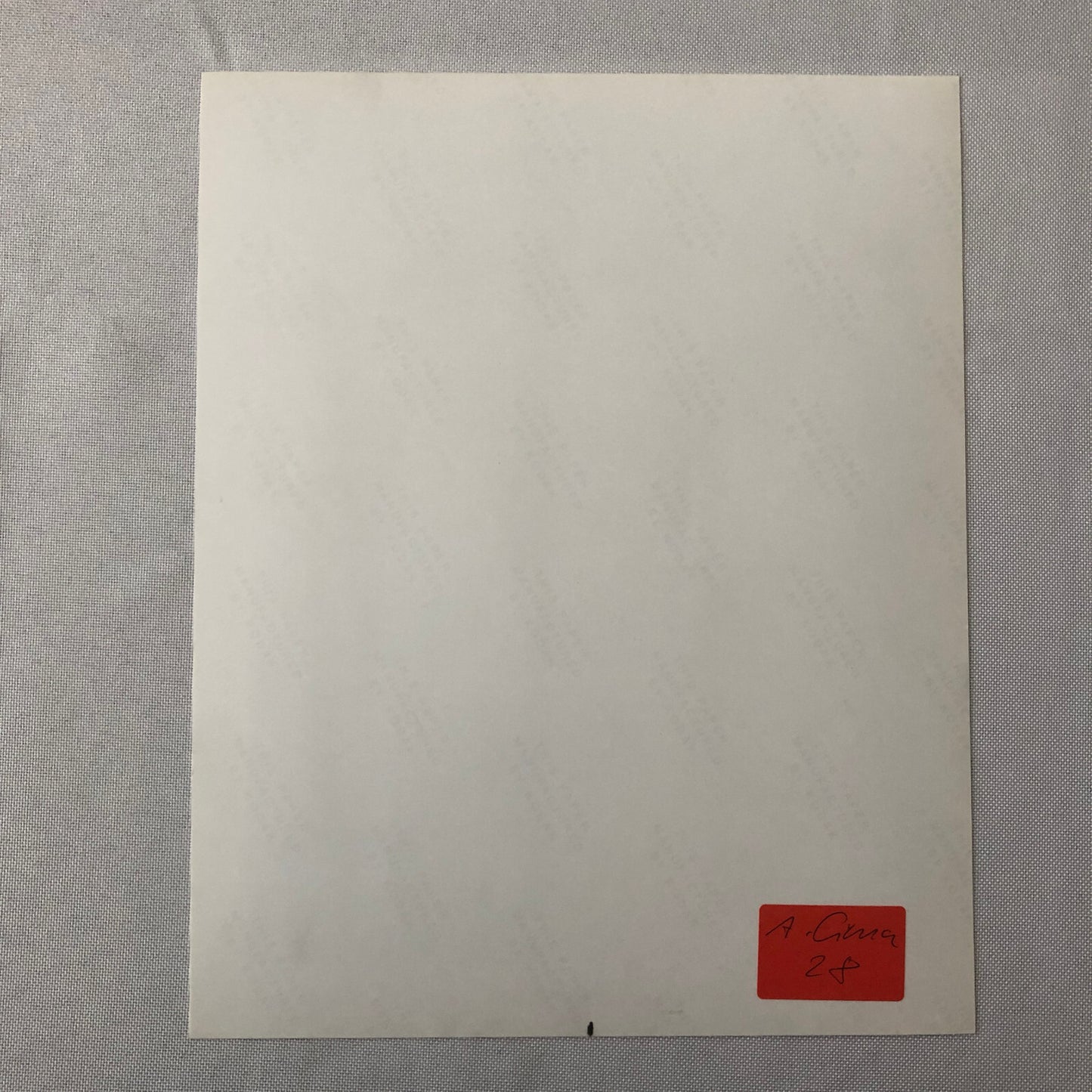 Vintage Indy Indianapolis Racing Photo Photograph Fabrizio Barbazza 1987