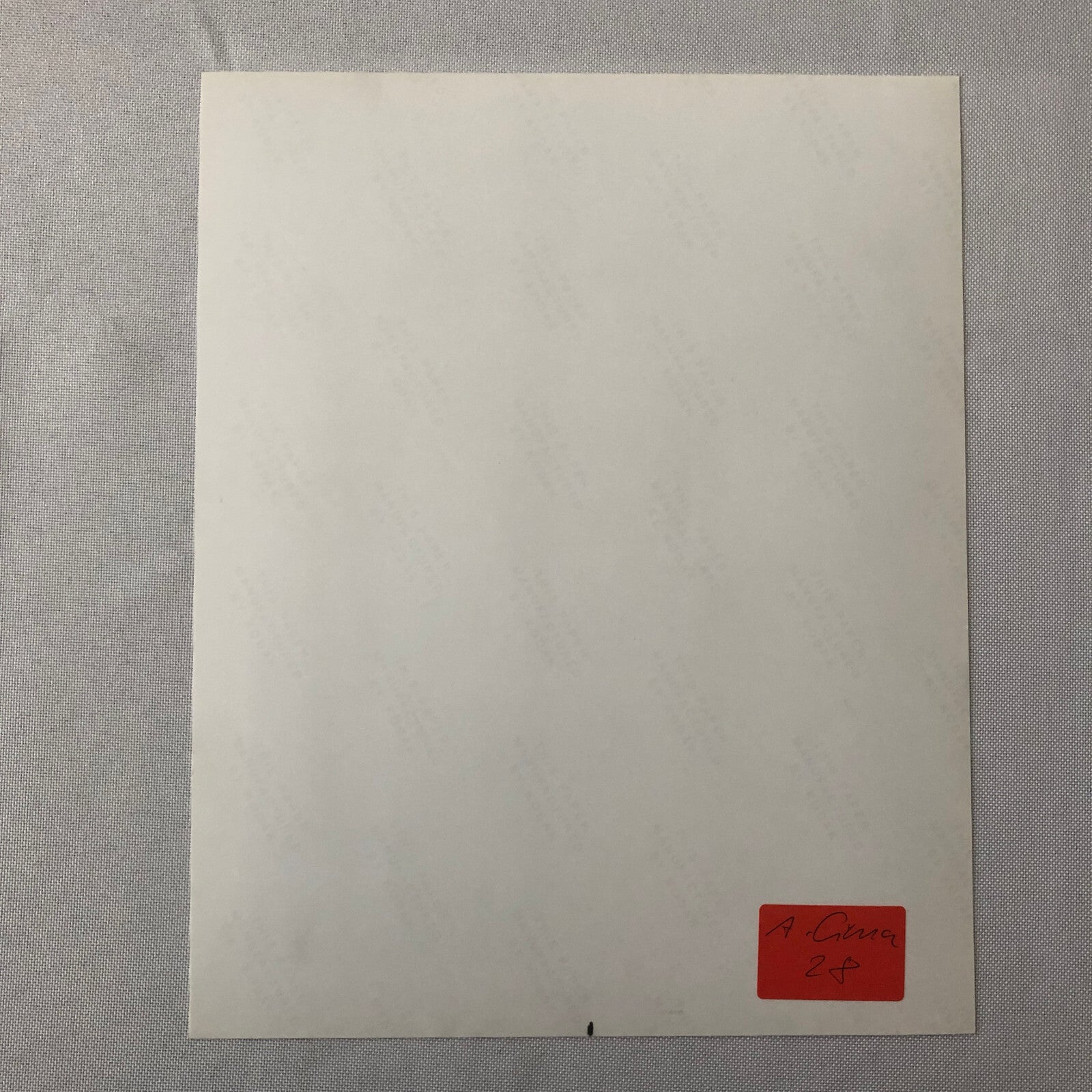 Vintage Indy Indianapolis Racing Photo Photograph Fabrizio Barbazza 1987