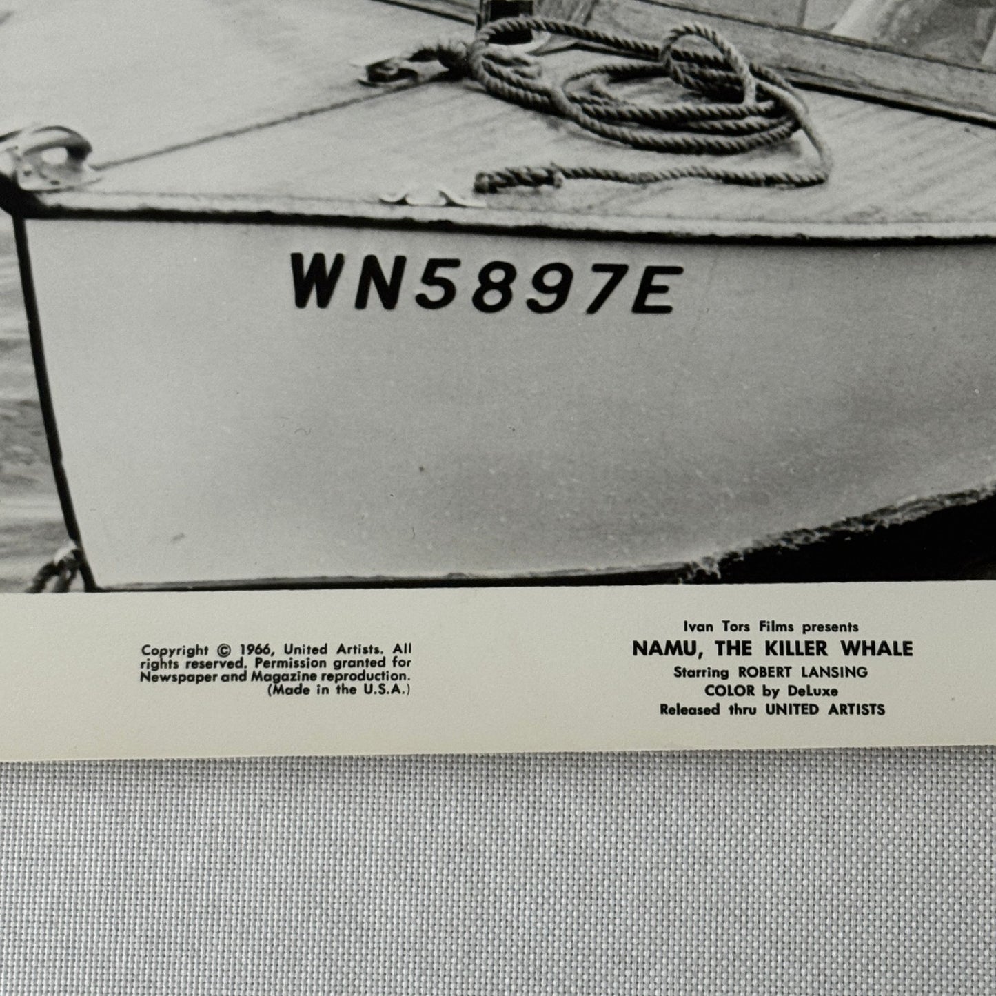 Vintage Movie Still Press Photo Photograph Namu the Killer Whale 1966