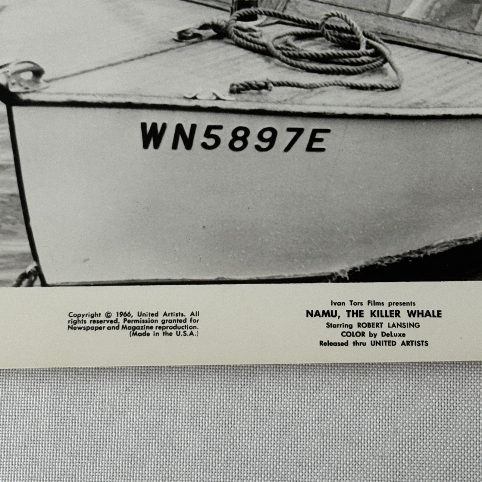 Vintage Movie Still Press Photo Photograph Namu the Killer Whale 1966