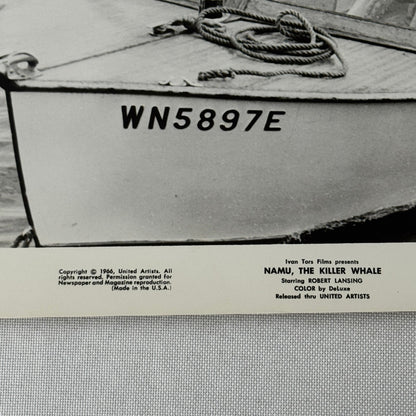 Vintage Movie Still Press Photo Photograph Namu the Killer Whale 1966