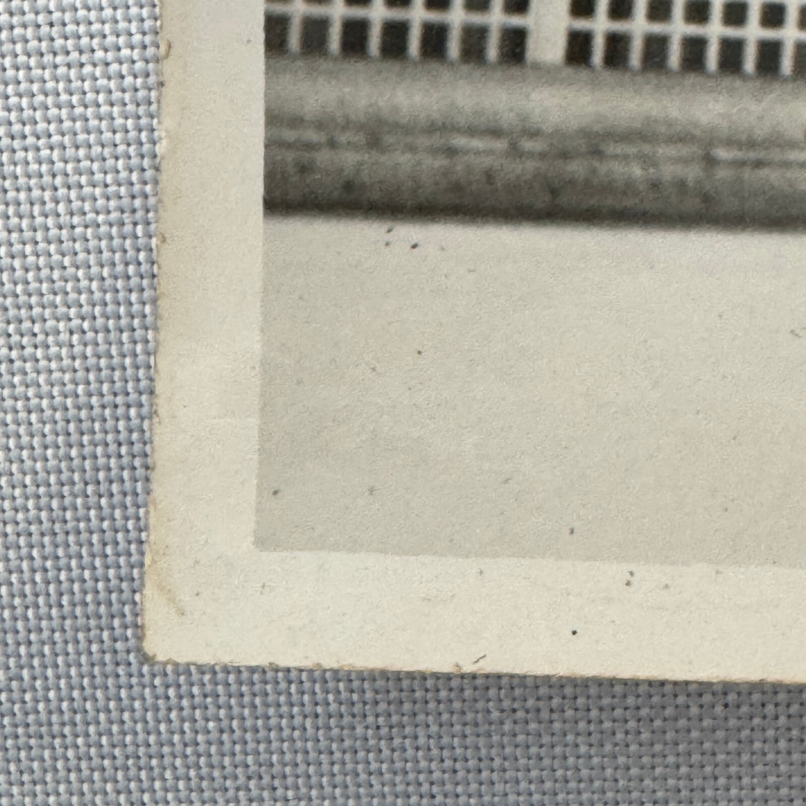 Circus Rollerskating Roller Skate Circus Act Photo Photograph The Skating Jewels