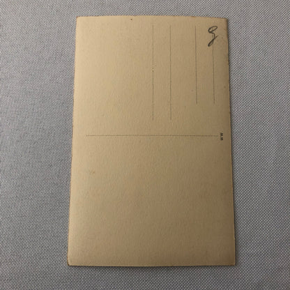 Circus Act with Birds Postcard Post Card Vintage Berlin Germany Fredy Lorano