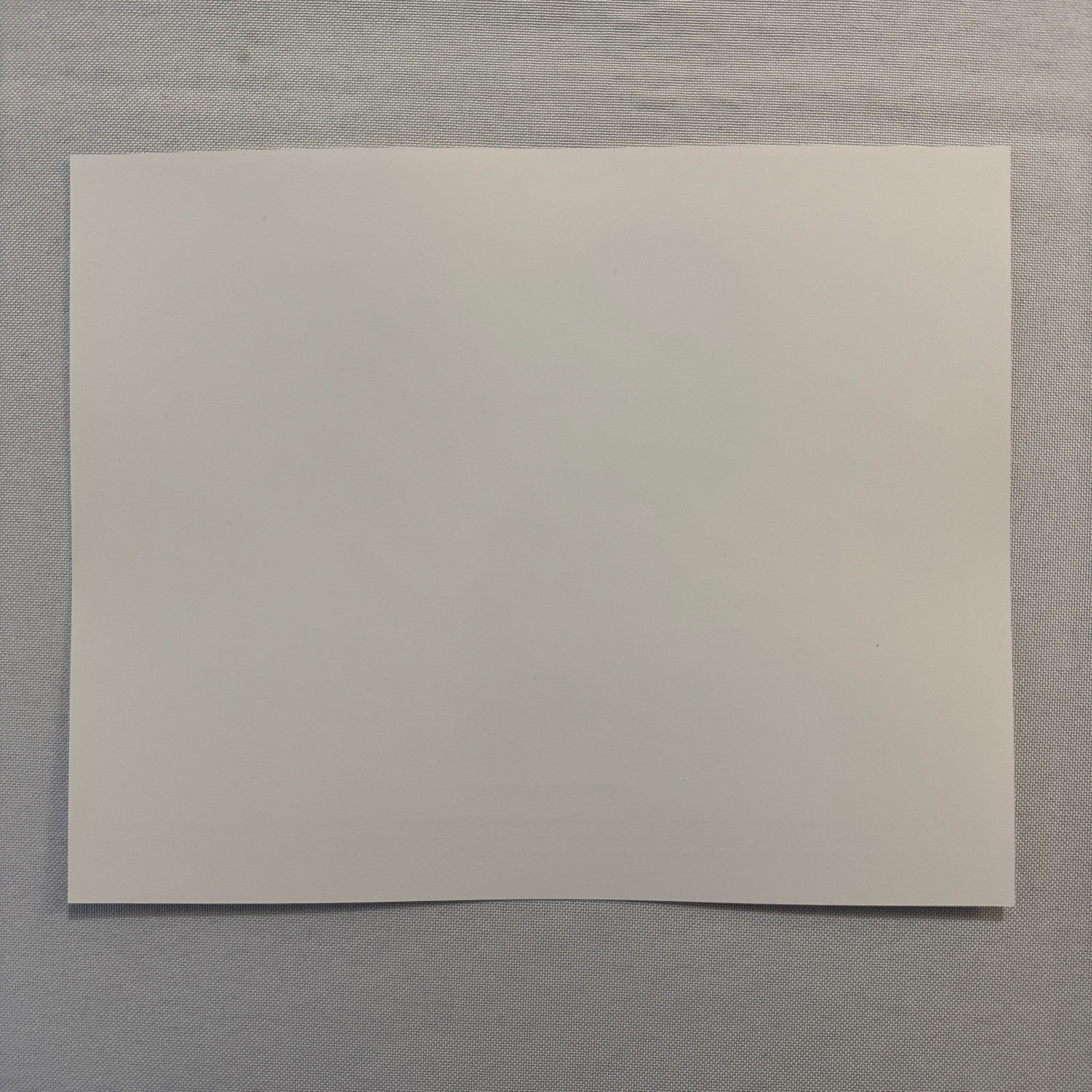 Sense and Sensibility Movie Press Photo Publicity Photograph Kate Winslet