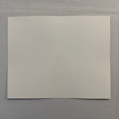 Sense and Sensibility Movie Press Photo Publicity Photograph Kate Winslet