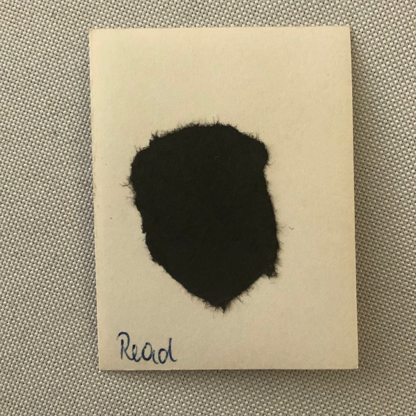 Vintage Motorcycle Racing Photo photograph Snapshot Phil Read ELF Racing