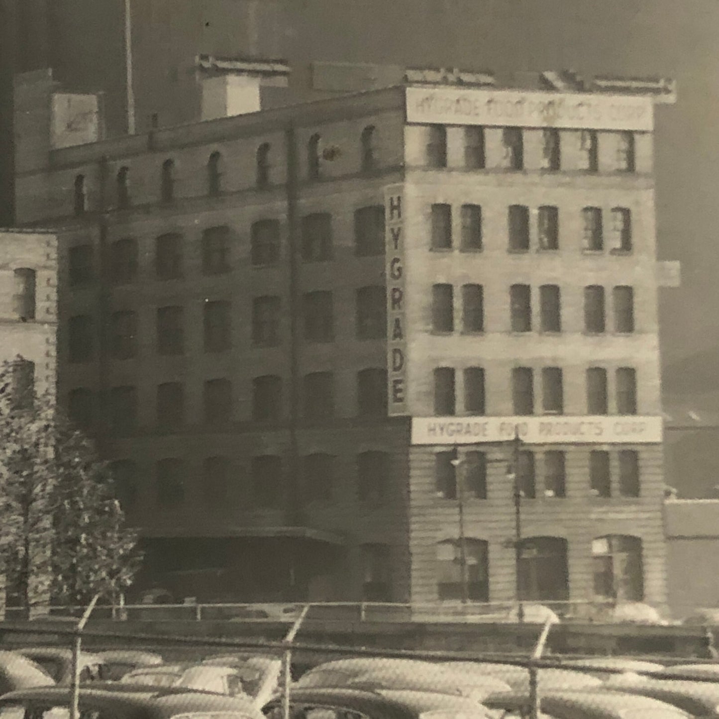 Vintage Street Scene Snapshot Photo Photograph Cars Automobile Building Esso Gas