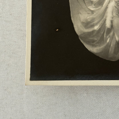 Vintage Circus Acrobat Balancing Act Photo Photograph Beautiful