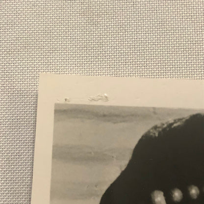 Yul Brynner Shirley Ann Field Kings of the Sun Movie Photo Photograph CBS TV