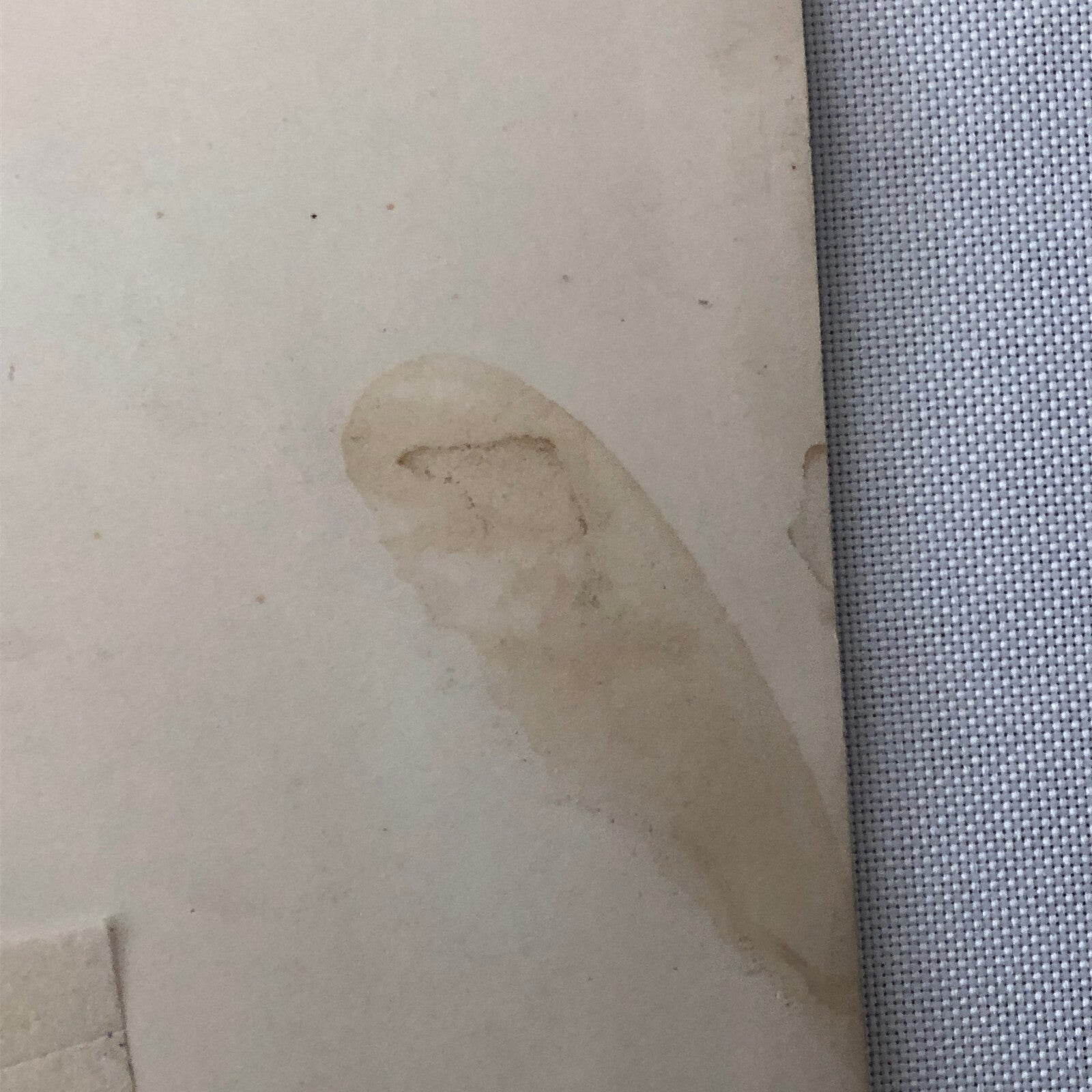 Vintage Press Photo photograph 1933 Naughty Nineties Party Costumes UK London